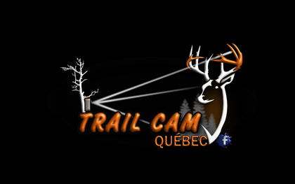 Articles Promo/ Certificat cadeau