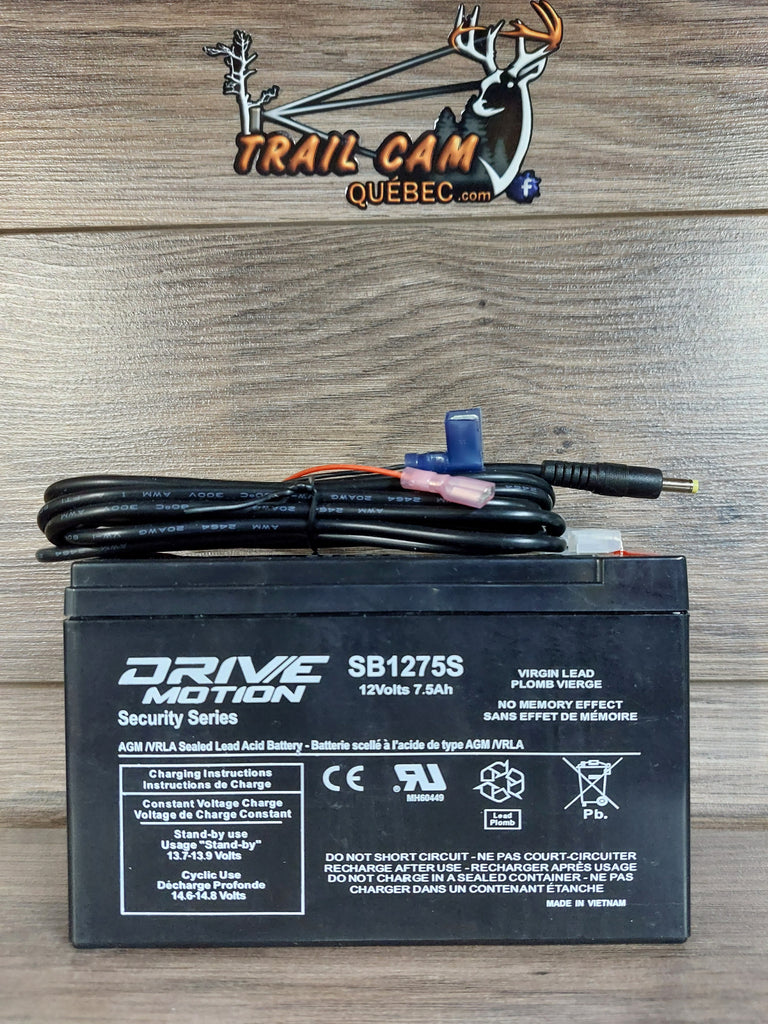 Batterie 12V - Alimentation